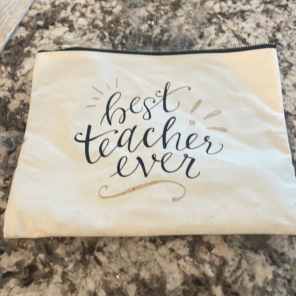Best Teacher bag! Perfect fit into a laptop briefcase bag!